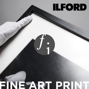 Fine Art Print